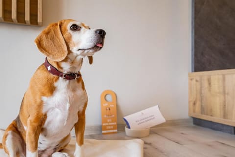 Hotel Hegenbarths Hotel in Cochem-Zell