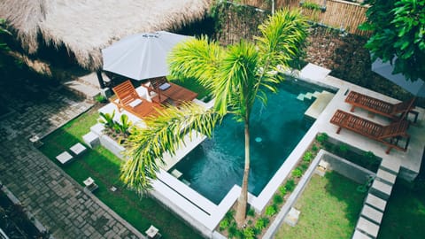 Garden, Pool view, Swimming pool