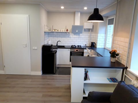 Alytus Ziburio studio Apartment in Lithuania