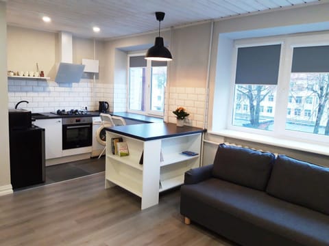 Alytus Ziburio studio Apartment in Lithuania