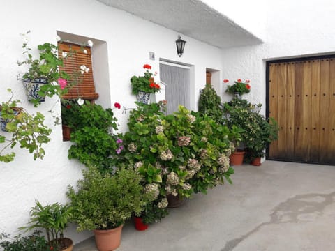 Property building, Patio