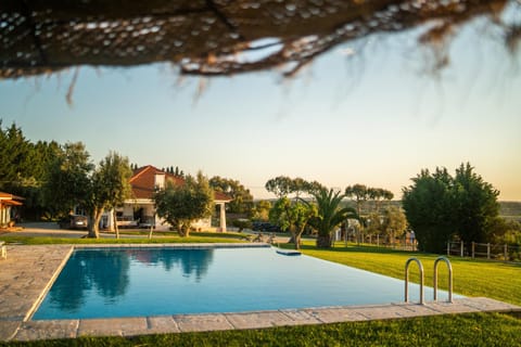 Natural landscape, Garden, Garden view, Pool view, Swimming pool