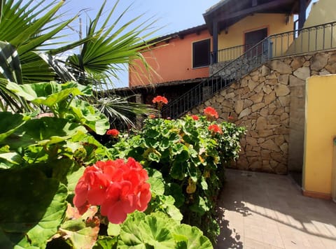 Property building, Facade/entrance, Garden