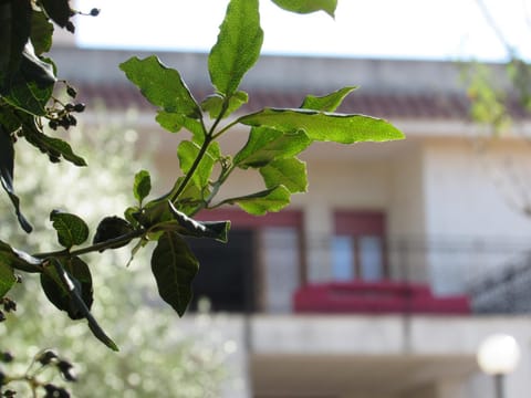 Property building, Balcony/Terrace