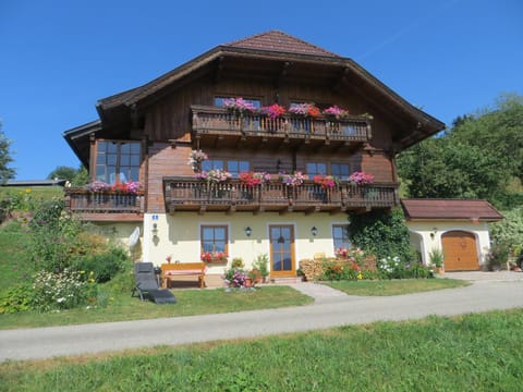Facade/entrance, Garden
