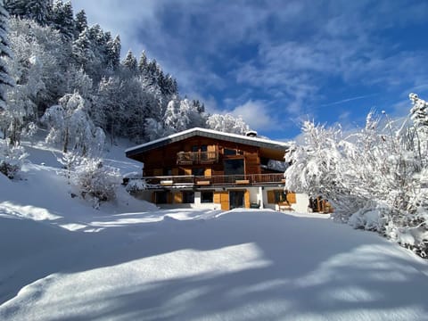 Chalet Mountain Vibes Apartment in Les Houches