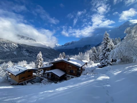 Chalet Mountain Vibes Apartment in Les Houches