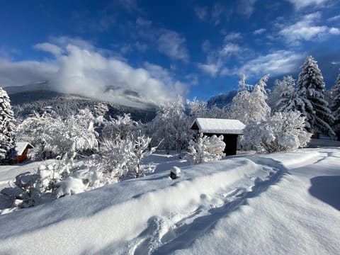 Chalet Mountain Vibes Apartment in Les Houches