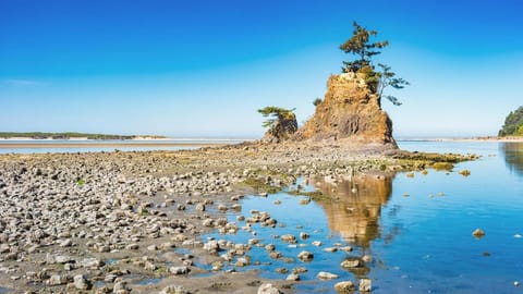 Sea Echo Motel Hotel in Devils Lake