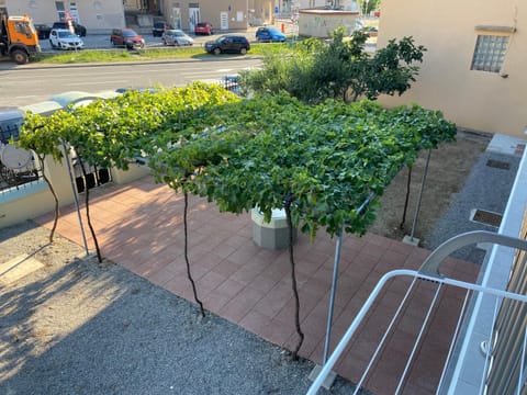 Patio, Garden