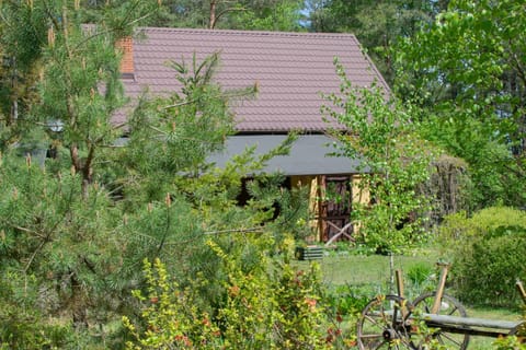 Gospodarstwo agroturystyczne nad jeziorem wśród lasów House in Pomeranian Voivodeship