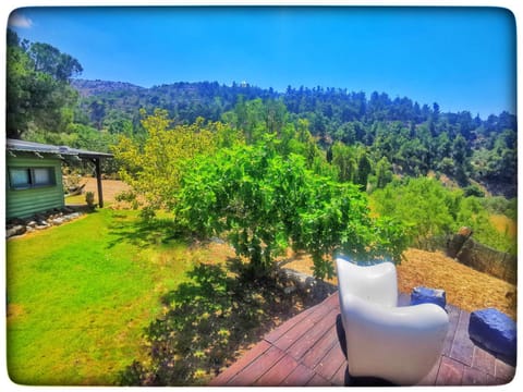Natural landscape, Garden, Mountain view