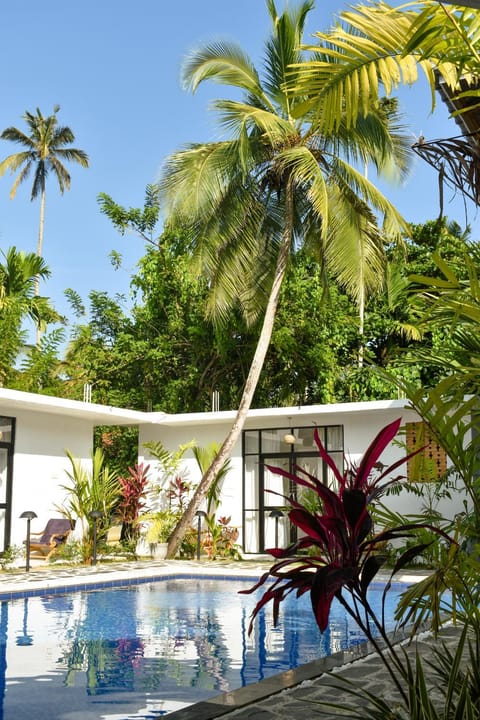 Garden, Swimming pool