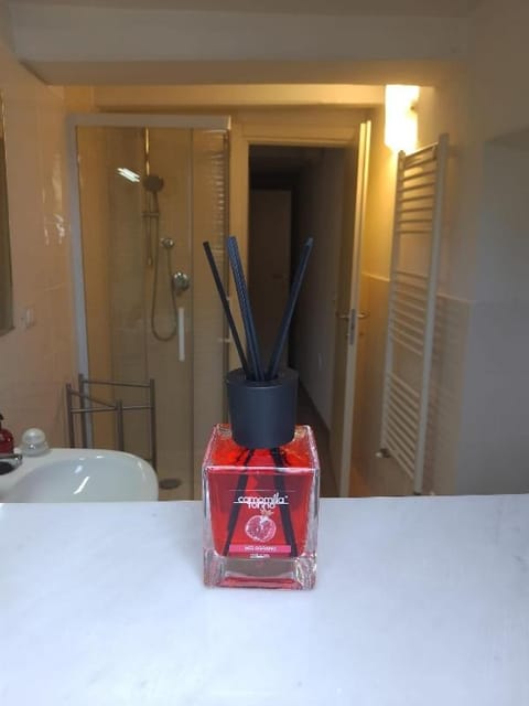 Lucca in Corte near the city centre Apartment in Lucca