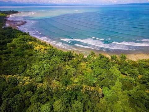 Bird's eye view, Beach