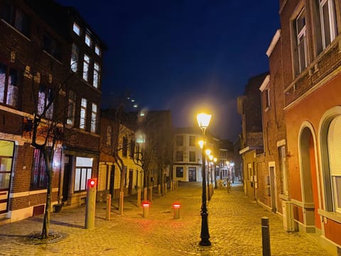 Roture 88 Bed and Breakfast in Liège