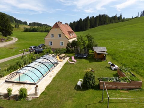 Garden, Garden view, Swimming pool