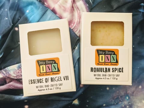 The Star Trek - USS Enterprise Room at the Itty Bitty Inn Hotel in Coos Bay