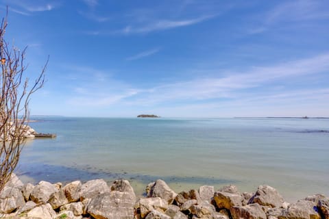 Waterfront Middle Bass Condo with Pool Access! Apartment in Middle Bass