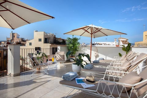 Patio, Balcony/Terrace, sunbed