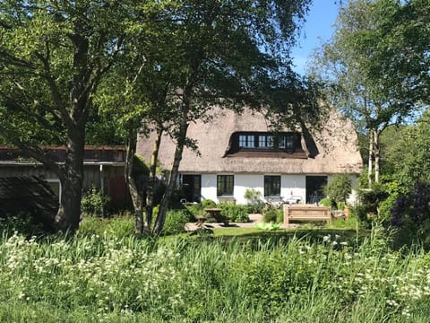 MeinNest31 House in Sankt Peter-Ording