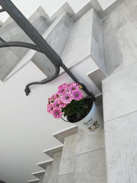 Armona Vacation rental in Pomeranian Voivodeship