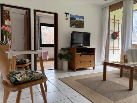 Ferienwohnung Held Apartment in Bad Aussee