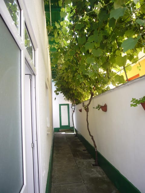 Inner courtyard view