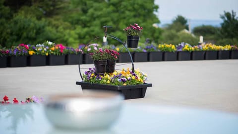 Garden, Balcony/Terrace