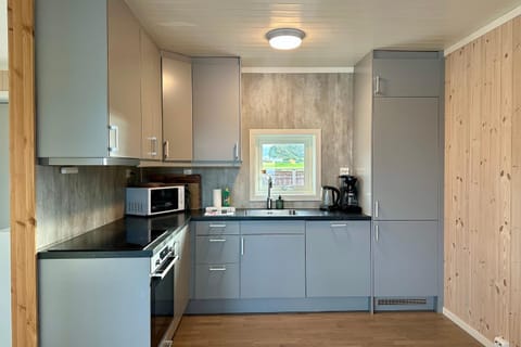 Coffee/tea facilities, Kitchen or kitchenette, stove