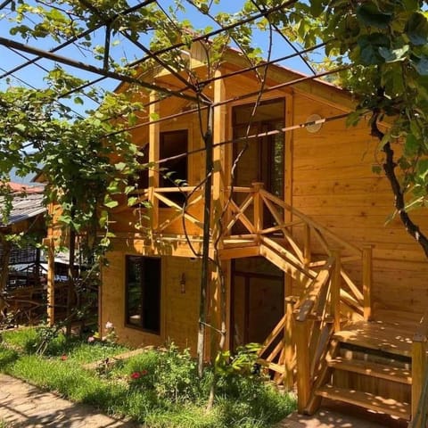 Property building, Day, Garden