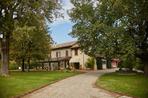 Garden, Garden view