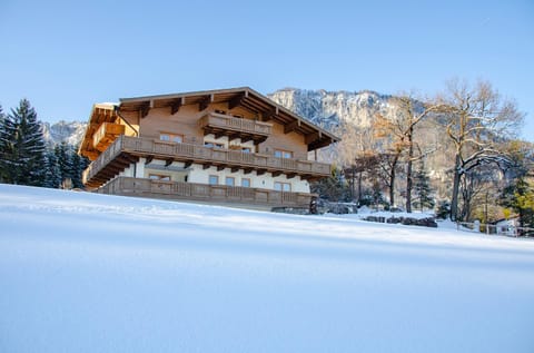 Property building, Winter