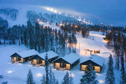 Property building, Natural landscape, Winter, Mountain view, Area and facilities