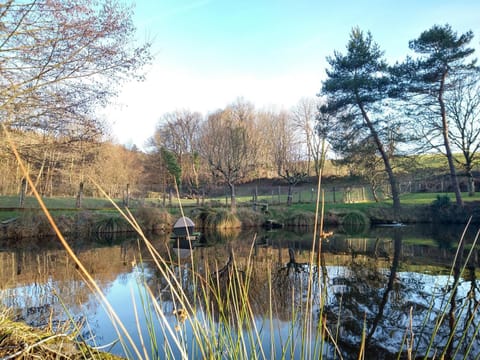 Lake view