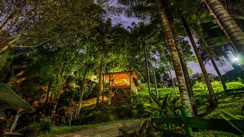 Night, Natural landscape