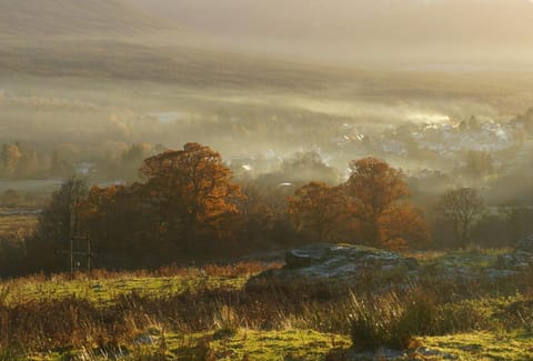 Cosy Rowan woodland lodge no3 Nature lodge in Scotland