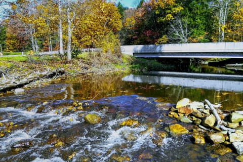 Scenic Log Cabin with Fire Pit and Stocked Creek! Cabin in Allegheny River