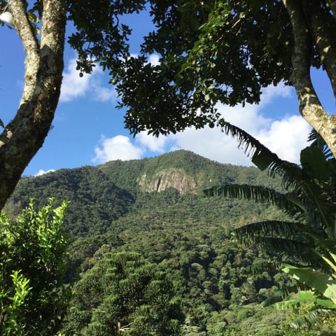 Mountain view