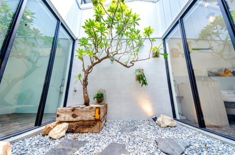 Patio, Balcony/Terrace