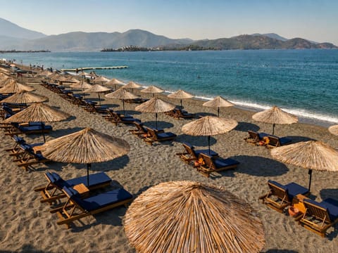 Natural landscape, Beach, Sea view, sunbed