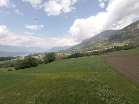Birkenhof Apartment in Spittal an der Drau