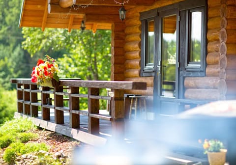 Patio, Day, BBQ facilities, Garden, View (from property/room), Balcony/Terrace, Garden view