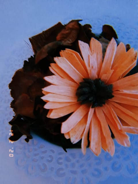 Ca da la nona Bed and Breakfast in Canton of Ticino