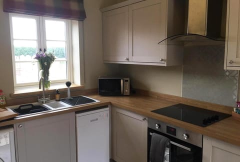 Kitchen or kitchenette, Photo of the whole room, Garden view