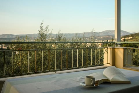 Theofilos house Apartment in Nafplion