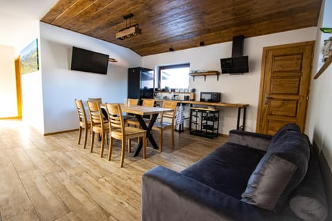 TV and multimedia, Kitchen or kitchenette, Living room, Seating area, Dining area, minibar, stove