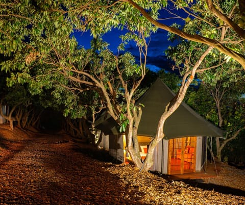 Night, Garden, Bedroom, Garden view