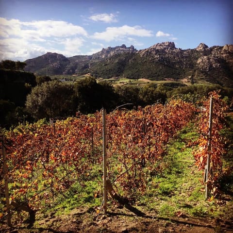 Landmark view, Mountain view