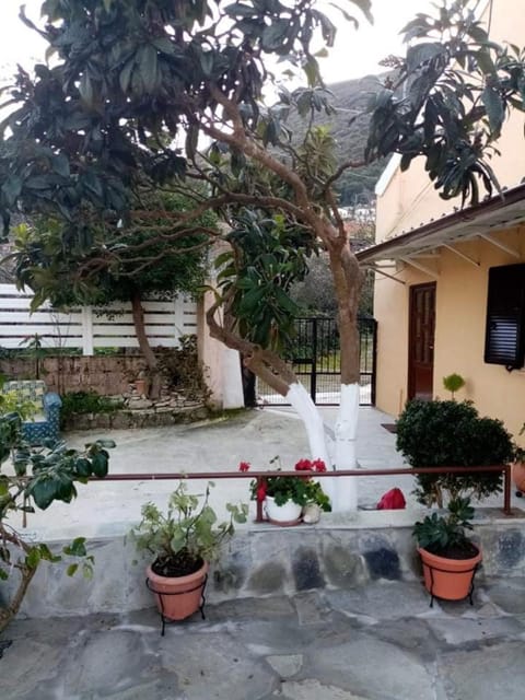 Facade/entrance, Garden